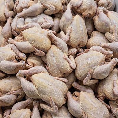 Premium frozen whole chicken, cleaned and export-ready.