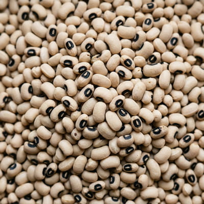 Distinctive black-eyed peas known for their mild flavor and texture.