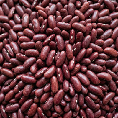 Premium kidney beans with excellent nutritional profile.