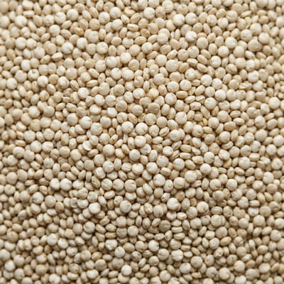 Premium quinoa, a complete protein source for health-conscious consumers.