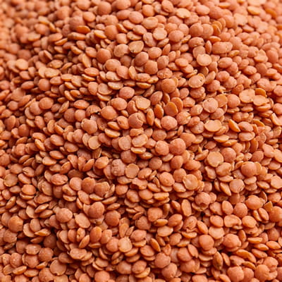 Red masoor dal, a versatile lentil widely used in global cuisines.