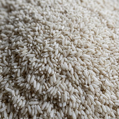 Regional specialty rice from Gujarat's fertile basins.