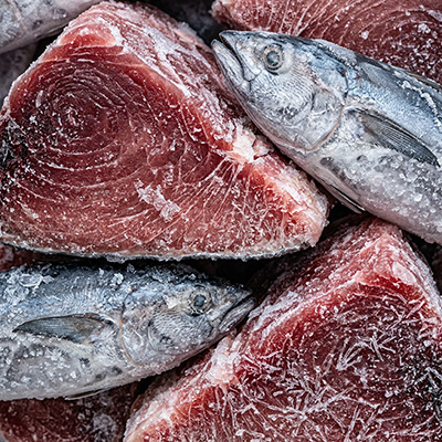 High-quality frozen tuna for sashimi and food processing.