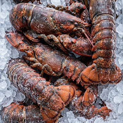 Premium whole and tail frozen lobster for high end markets.