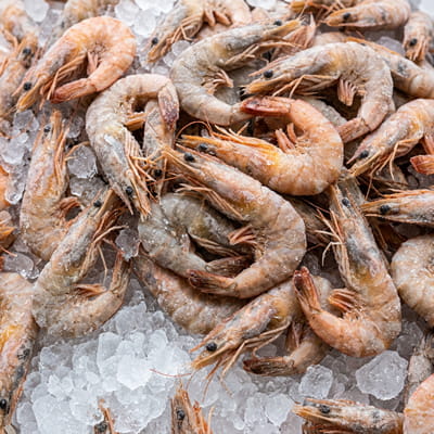 Premium frozen shrimps and prawns export-quality grade on crushed ice.
