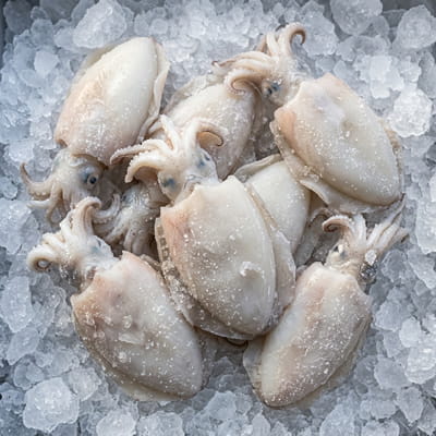 Quality frozen cuttlefish for seafood processors worldwide.