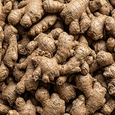 Farm-fresh ginger with strong aroma and culinary value.