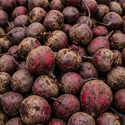 Premium beetroots, rich in color and essential nutrients for global trade.