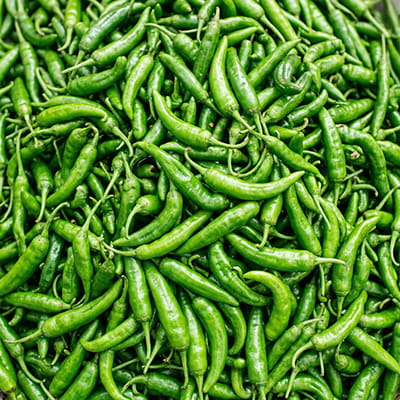 Spicy green chillies, packed for international buyers.