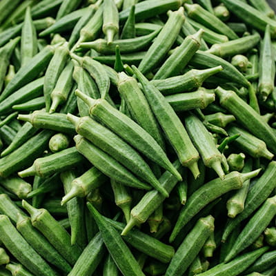 Tender okra (ladyfinger) with excellent texture for export.