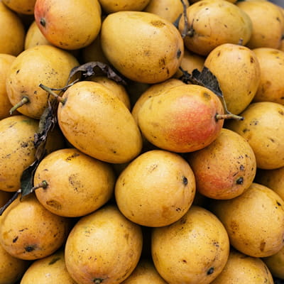 Premium fresh Alphonso mangoes with golden-yellow skin.
