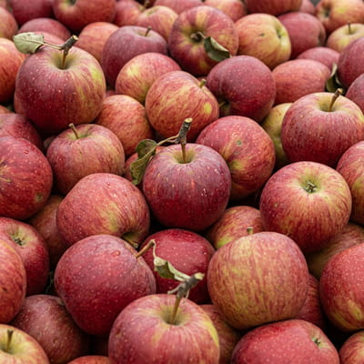 Fresh red apples with authentic organic skin texture.
