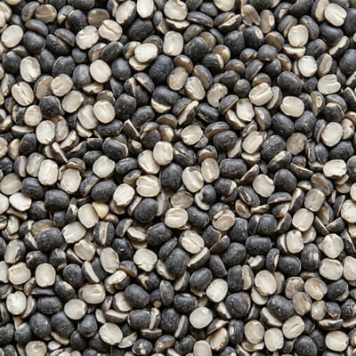 Premium urad dal used extensively in Indian cuisine and exports.