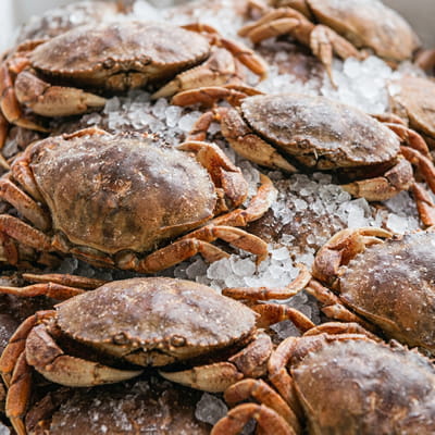 Fresh-frozen crabs cleaned and ready for global markets.