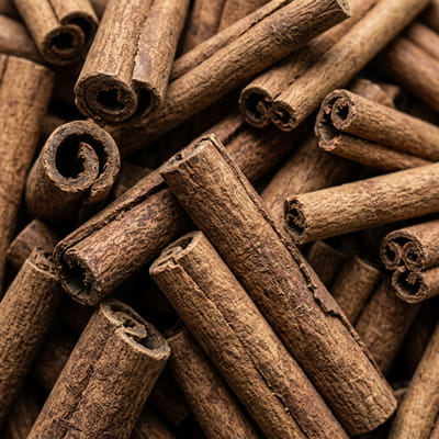 Premium rolled cinnamon sticks wholesale supplier