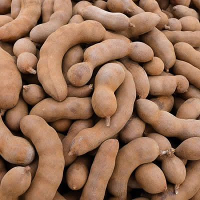 uthentic raw whole tamarind pods with shell for bulk export