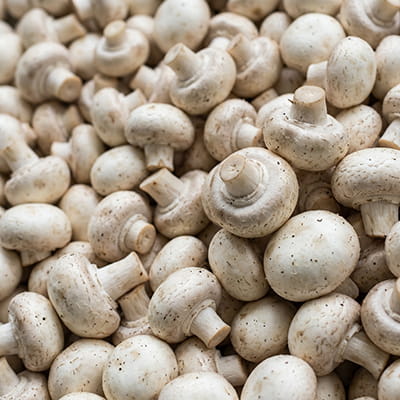 Fresh button mushrooms with excellent nutritional profile.