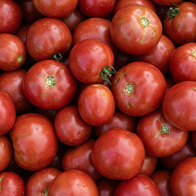 Fresh Vegetables