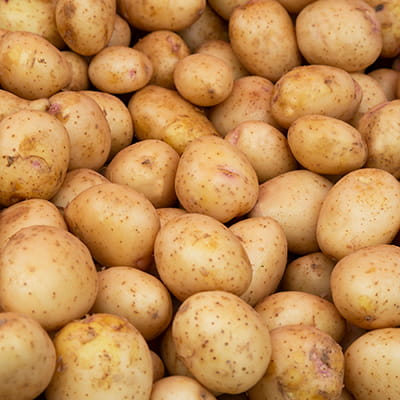 Highly fresh potatoes sourced from India's best farming regions.