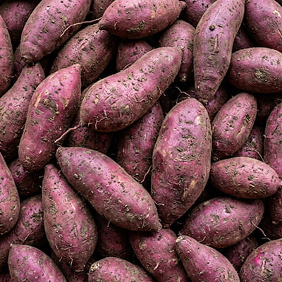 Naturally sweet potatoes rich in complex carbohydrates for export.
