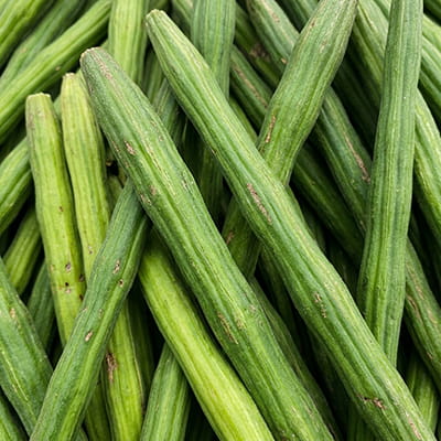 Nutritious drumsticks (Moringa) exported, prized for health benefits.